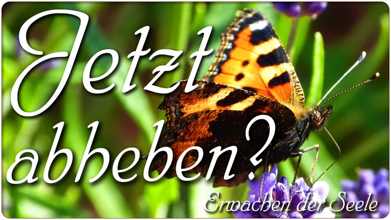 Jetzt abheben?