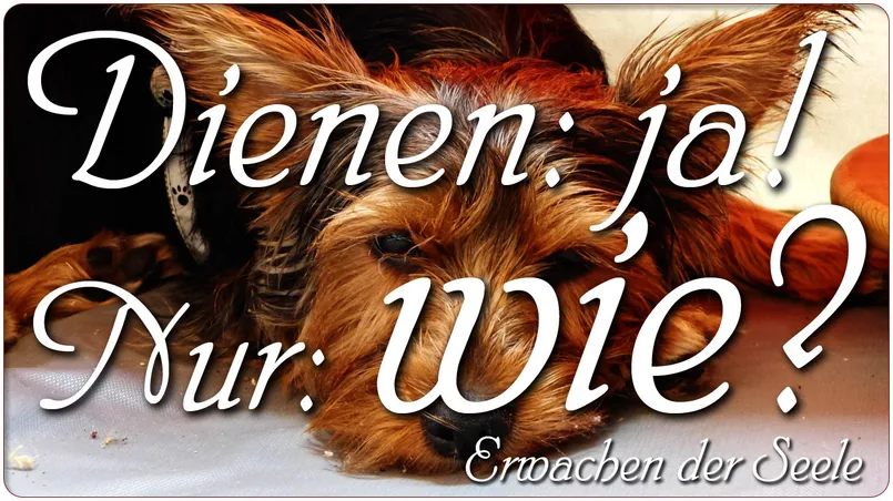 Dienen ja! Nur wie?