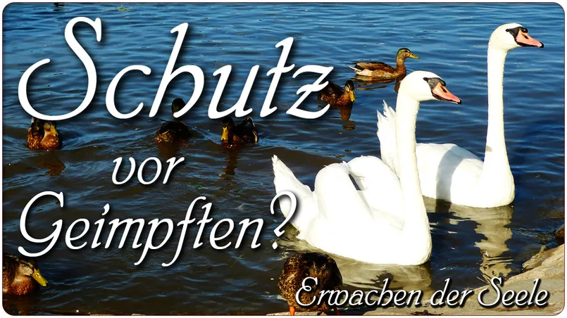Schutz vor Geimpften?