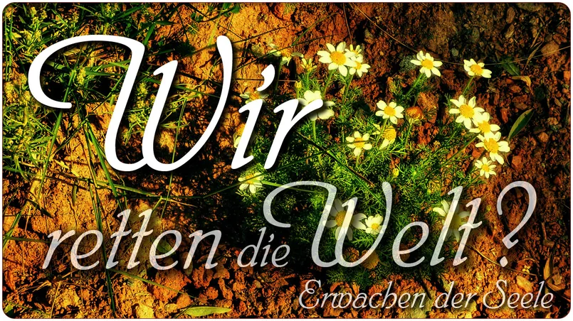Wir retten die Welt?