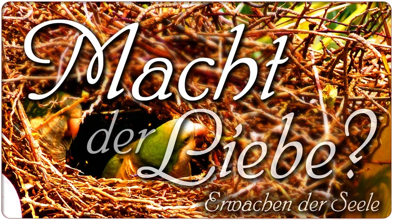 Macht der Liebe?