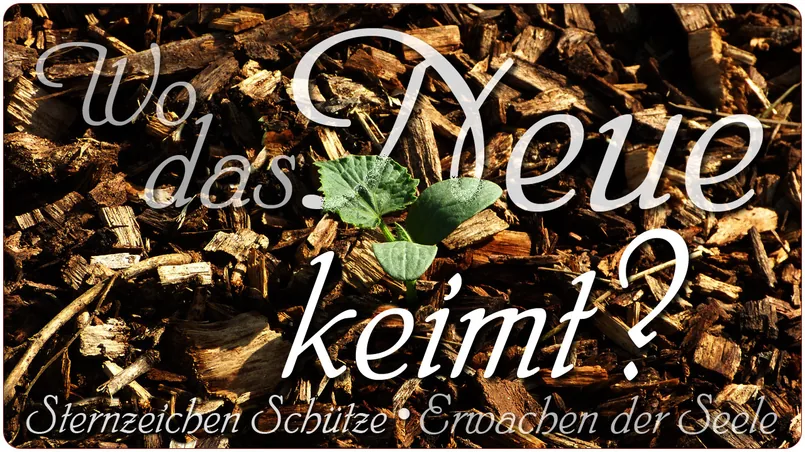 Wo das Neue keimt?