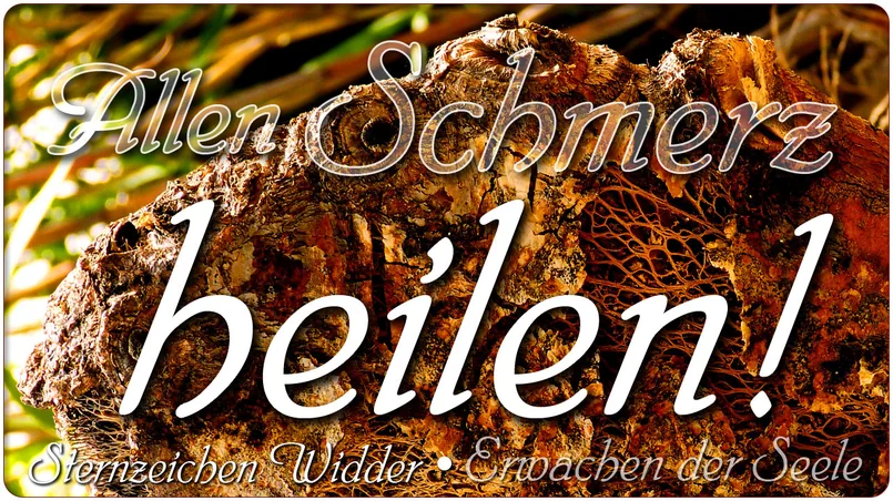 Allen Schmerz heilen?