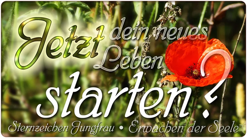 Jetzt dein neues Leben starten?