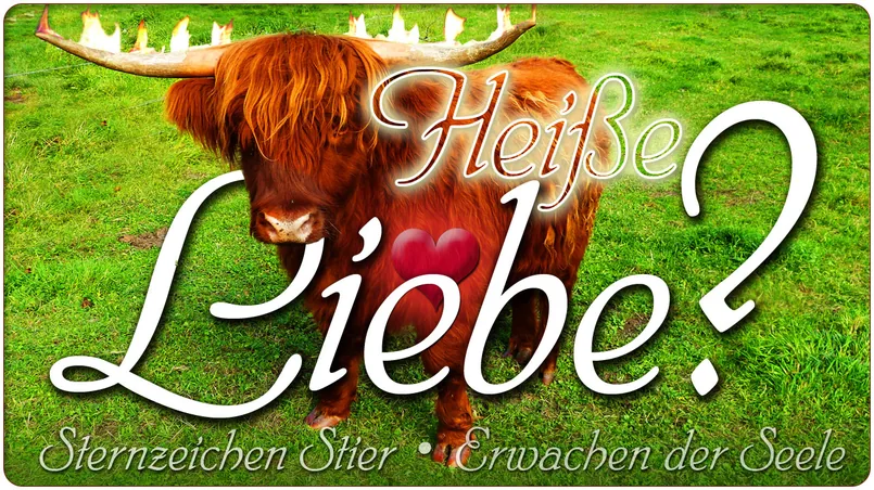 Heiße Liebe?