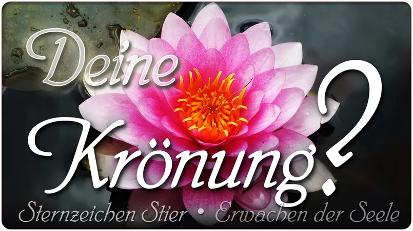 Deine Krönung?