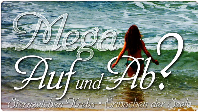 Mega Auf und Ab?