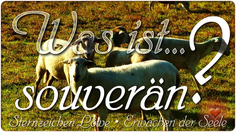 Was ist souverän?