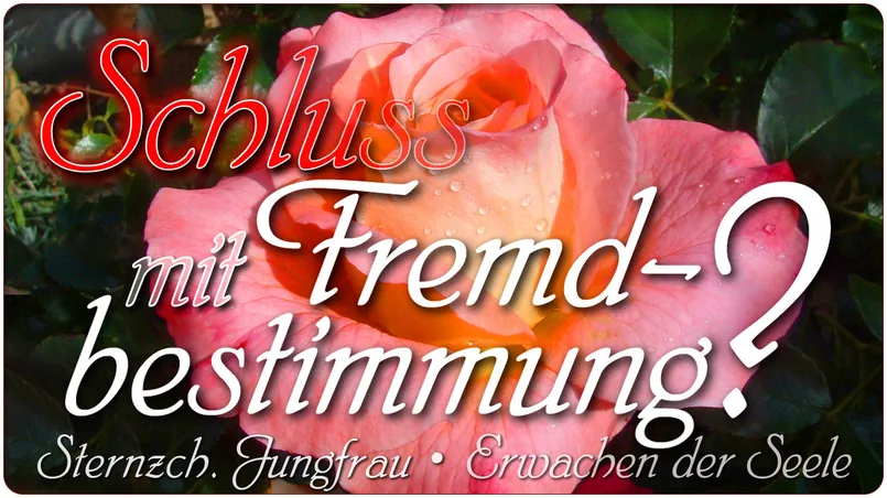 Schluss mit Fremdbestimmung?