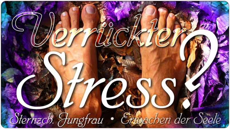 Verrückter Stress?