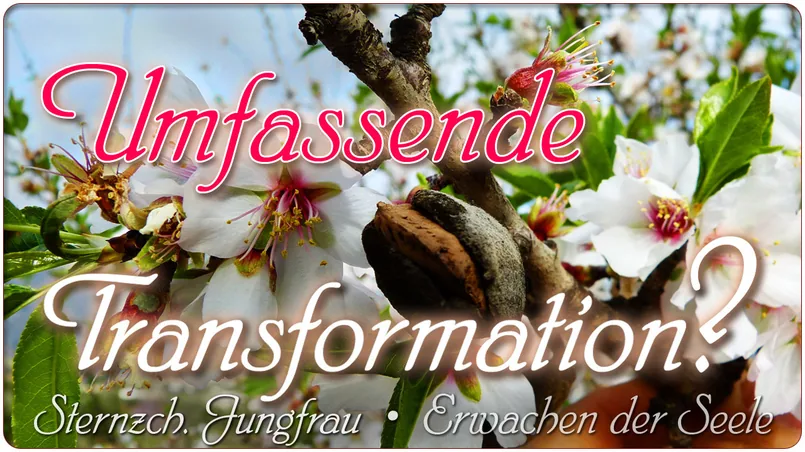 Umfassende Transformation?