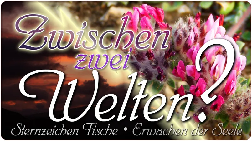 Zwischen zwei Welten?