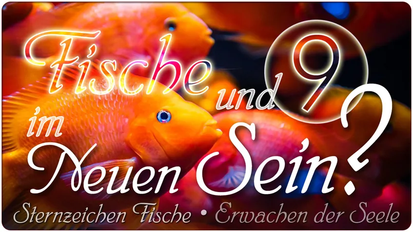 Fische und 9 im Neuen Sein?