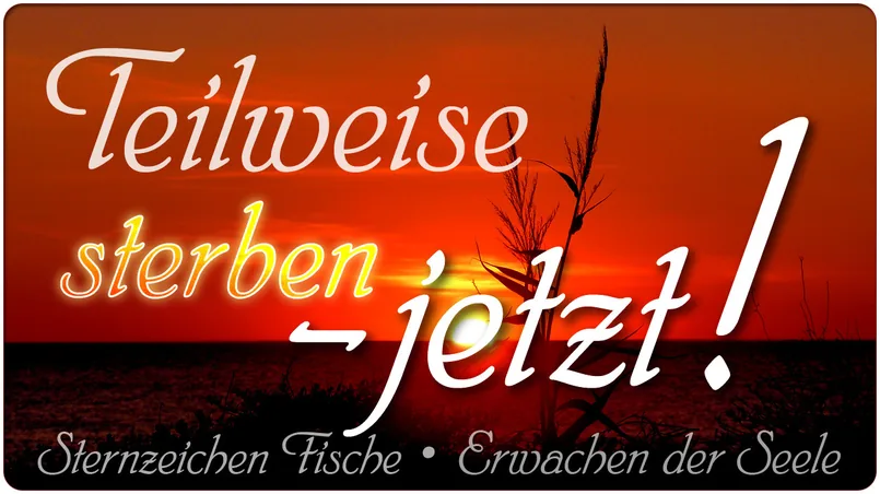 Teilweise sterben – Jetzt!