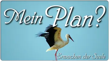Mein Plan?