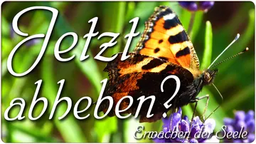 Jetzt abheben?
