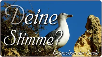 Deine Stimme?