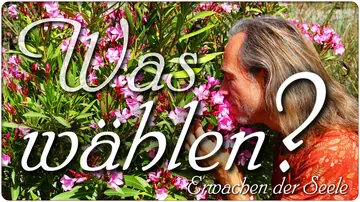 Was wählen?