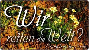 Wir retten die Welt?