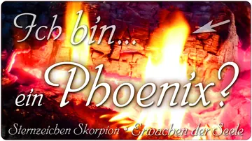 Ich bin… ein Phoenix?