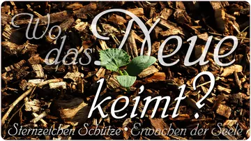 Wo das Neue keimt?