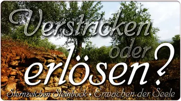 Verstricken oder erlösen?