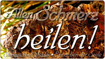 Allen Schmerz heilen?