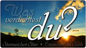 Was verdichtest Du?