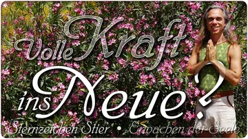 Volle Kraft ins Neue?