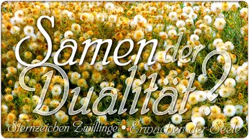 Samen der Dualität?