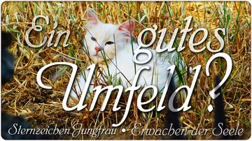 Ein gutes Umfeld?