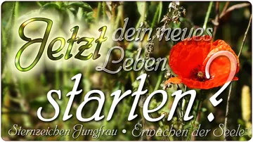 Jetzt dein neues Leben starten?