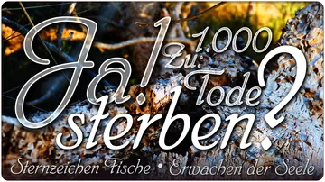 Kostenloses Erstgespräch