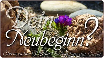 Dein Neubeginn?
