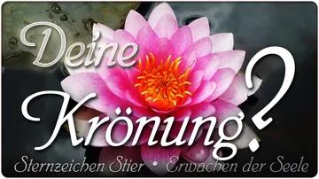 Deine Krönung?