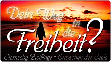 Dein Weg in die Freiheit?
