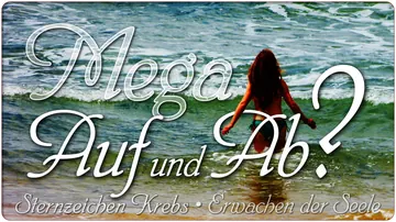 Mega Auf und Ab?