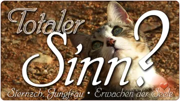 Totaler Sinn?