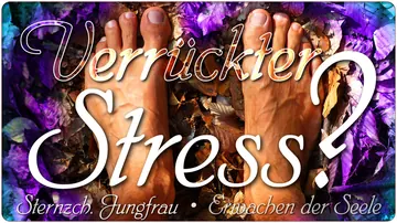 Verrückter Stress?