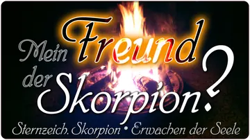 Mein Freund der Skorpion?