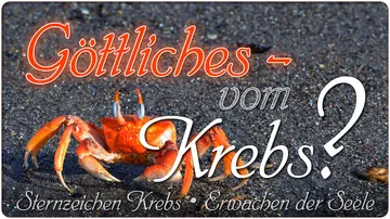 Göttliches-vom Krebs?