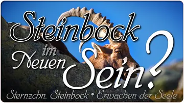 Steinbock im neuen Sein?