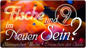 Fische und 9 im Neuen Sein?