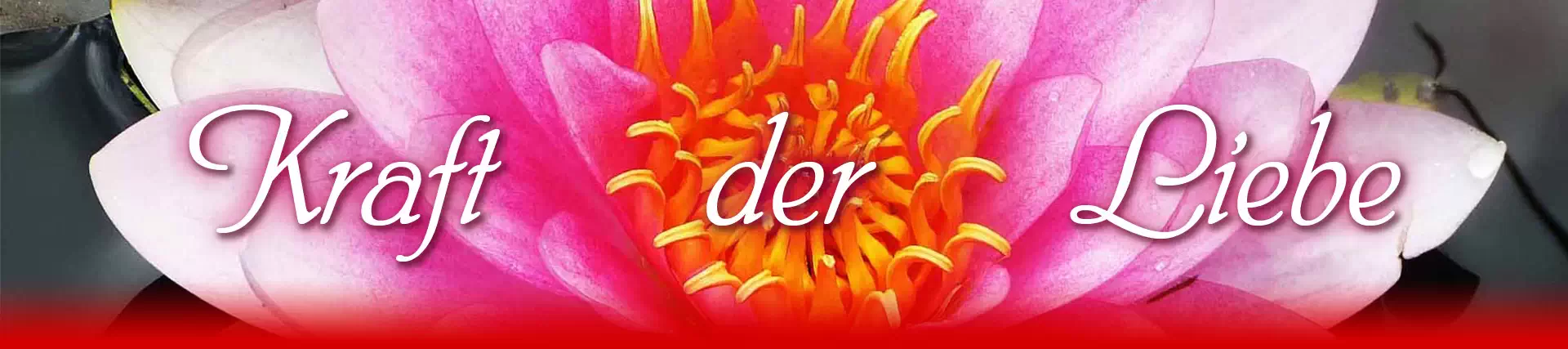 Datenschutzerklärung