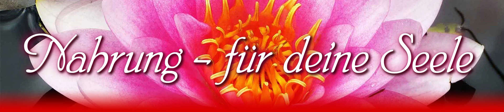 Kraftnahrung für deinen Geist