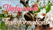 Umfassende Transformation?