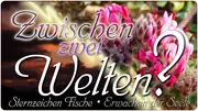 Zwischen zwei Welten?